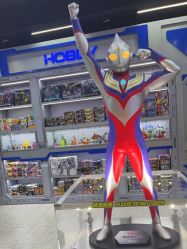 -TOYSRUS玩具反斗城(重庆来福士店)