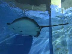 -北戴河圣蓝海洋公园