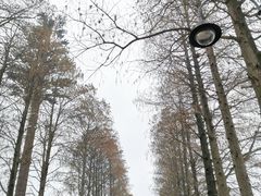 -东湖磨山景区