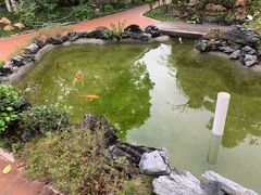 -绿华园休闲山庄