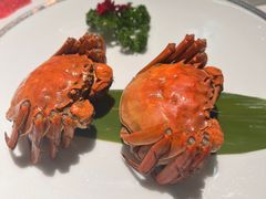 -红门金汤·港式火锅(英皇集团中心店)