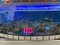 -黄记大闸蟹专卖店·活蟹·醉蟹