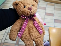 -济州岛泰迪熊博物馆