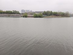 -沙澧河风景区