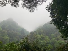 -青城山