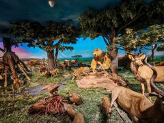 -国家自然博物馆