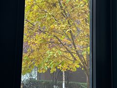 -西二旗(地铁站)