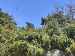 -南山公园