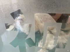 -全心全意连锁动物医院·微创中心·内科急重症·心脏专科(丰管路店)