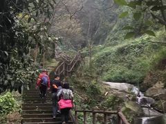 -南山植物园