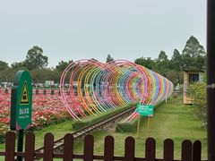-盈香心动乐园