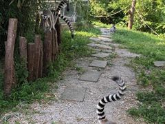 -宁波野生动物园