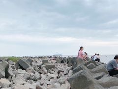 -南汇嘴观海公园