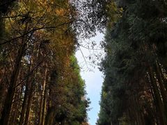 -山王坪喀斯特国家生态公园