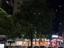 -尚艺