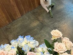 -绿房子方寸咖啡(星海名城店)