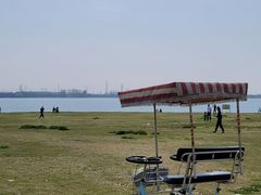 -漕湖湿地公园