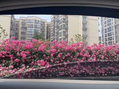 -爷爷的土钵菜(街道口店)