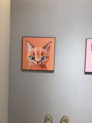-洗脸猫·洗脸吧