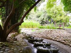-成都市活水公园