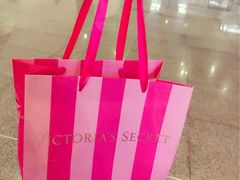 -VT101维多利广场