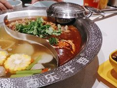 -古乐牛香鲜牛肉牛杂火锅(观前街店)