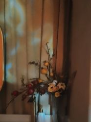 -Hi Beauty Skin 科技美肤中心