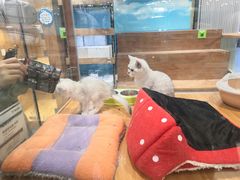 -龟与熊猫宠物公园(南坪店)