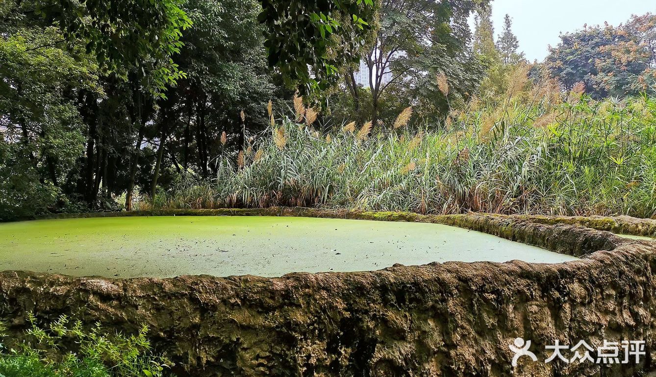 春的氣息活水公園