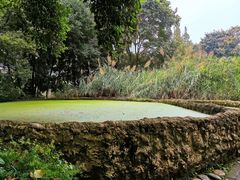 -成都市活水公园