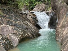 -广州白江湖森林公园