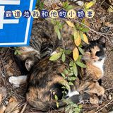 Kaka的十二月生活5⃣️