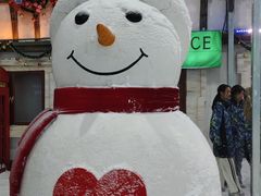 -世界之窗阿尔卑斯冰雪世界