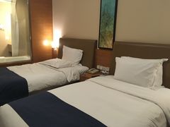 -北京望京华彩智选假日酒店