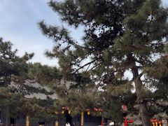 -慈恩寺