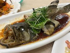 -湛江渔港·大排档(乐园路总店)
