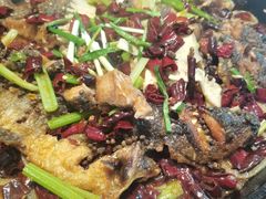 -老板恋上鱼(恒隆广场店)