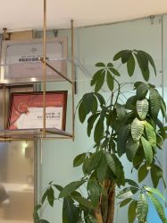 -柠檬一美·Ondapro·轻薄紧致抗衰中心