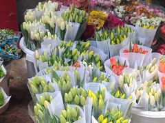 -循礼门鲜花花市(武汉循礼门店)