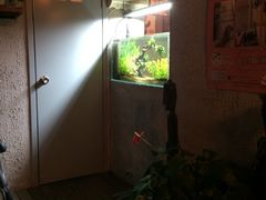 百好乐比萨-百好乐宠物友好餐厅(朝外大街店)