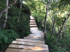 -白草畔自然风景区