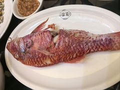 -吴记富苑(朝阳店)