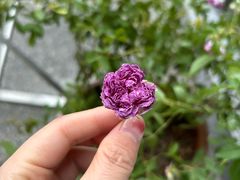 -比斯特上海购物村精品奥特莱斯