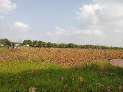 -嘉北郊野公园