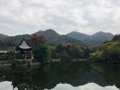 -黄陂区野村谷景区