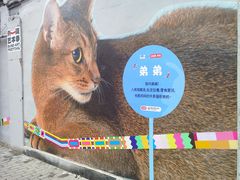 -方浜中路45弄小区