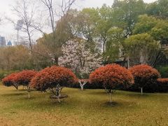-西北湖绿化广场