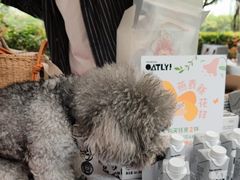 -默迹咖啡馆