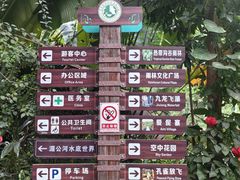 -西双版纳原始森林公园