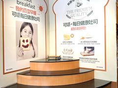 -全日可颂动物奶油生日蛋糕(步行街店)